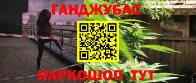 сатива Можга
