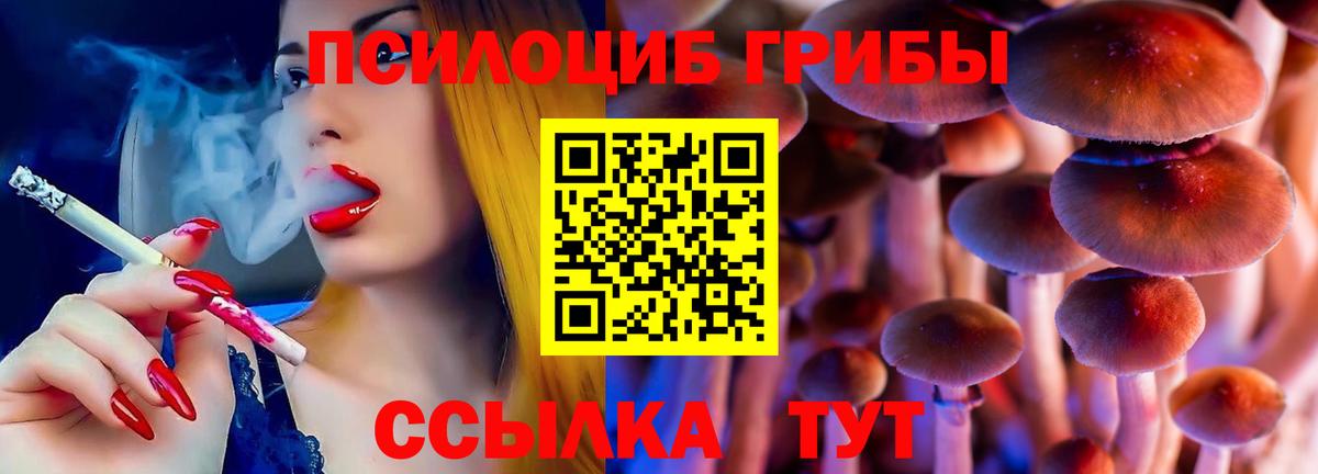 Дербент  Псилоцибиновые грибы GOLDEN TEACHER  Вход с VPN 